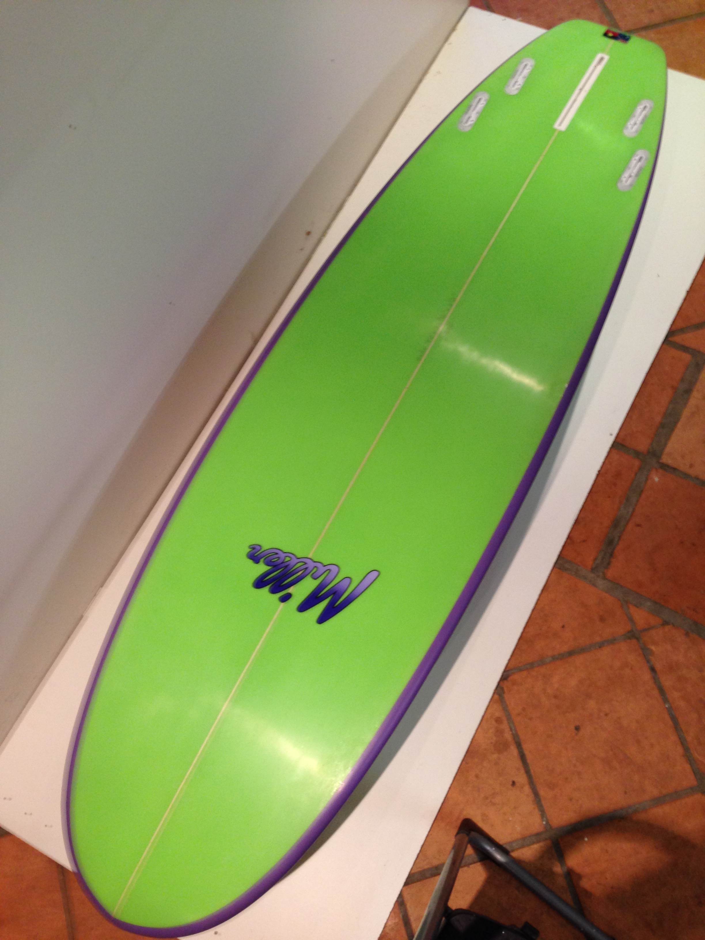 Purple & fins 005