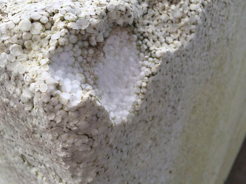 eps foam
