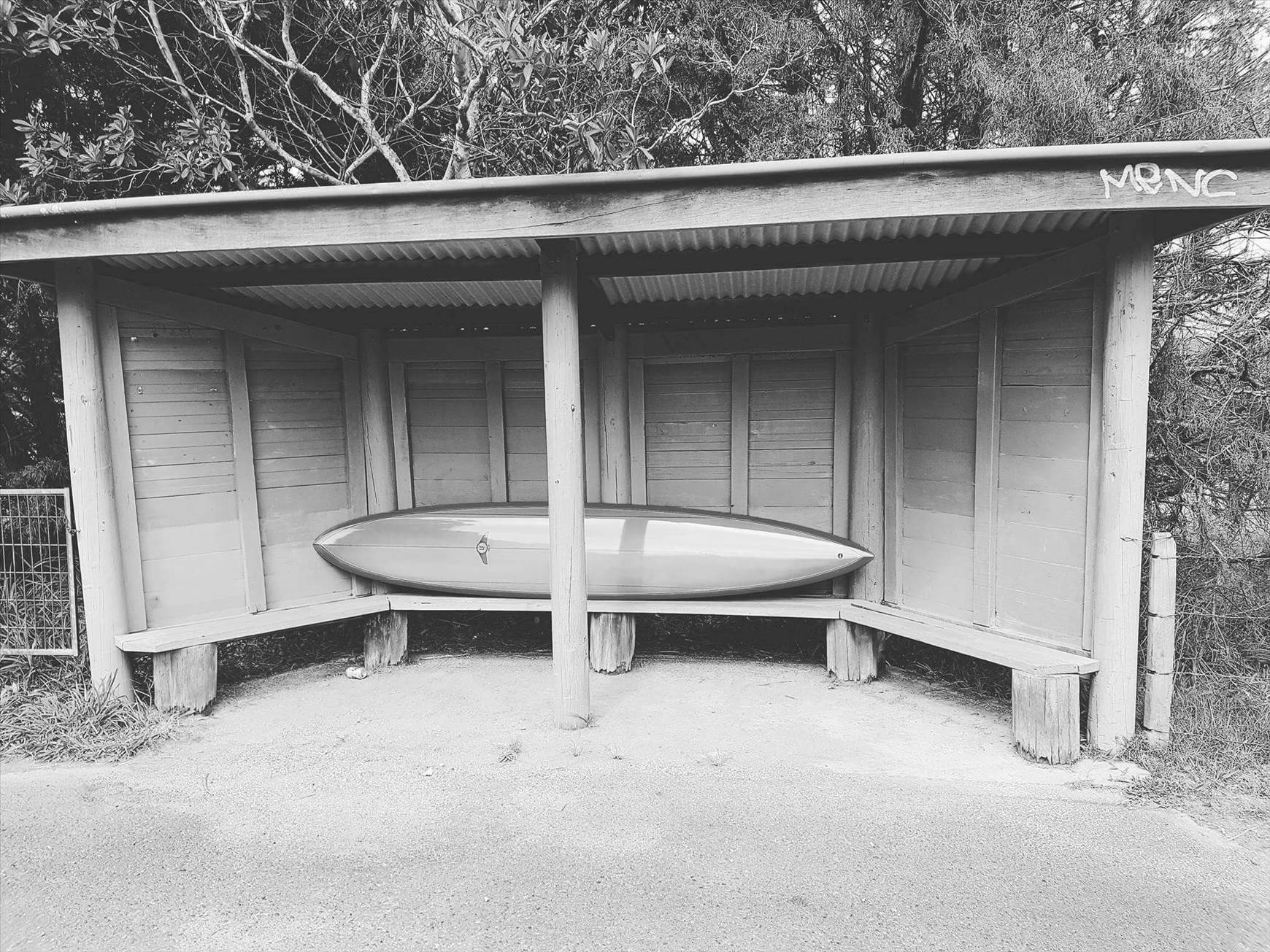 31019058480 dece66b26e o