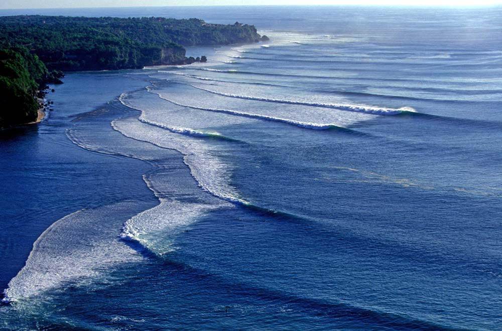 lefts