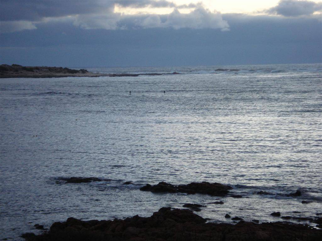 sup cow bay