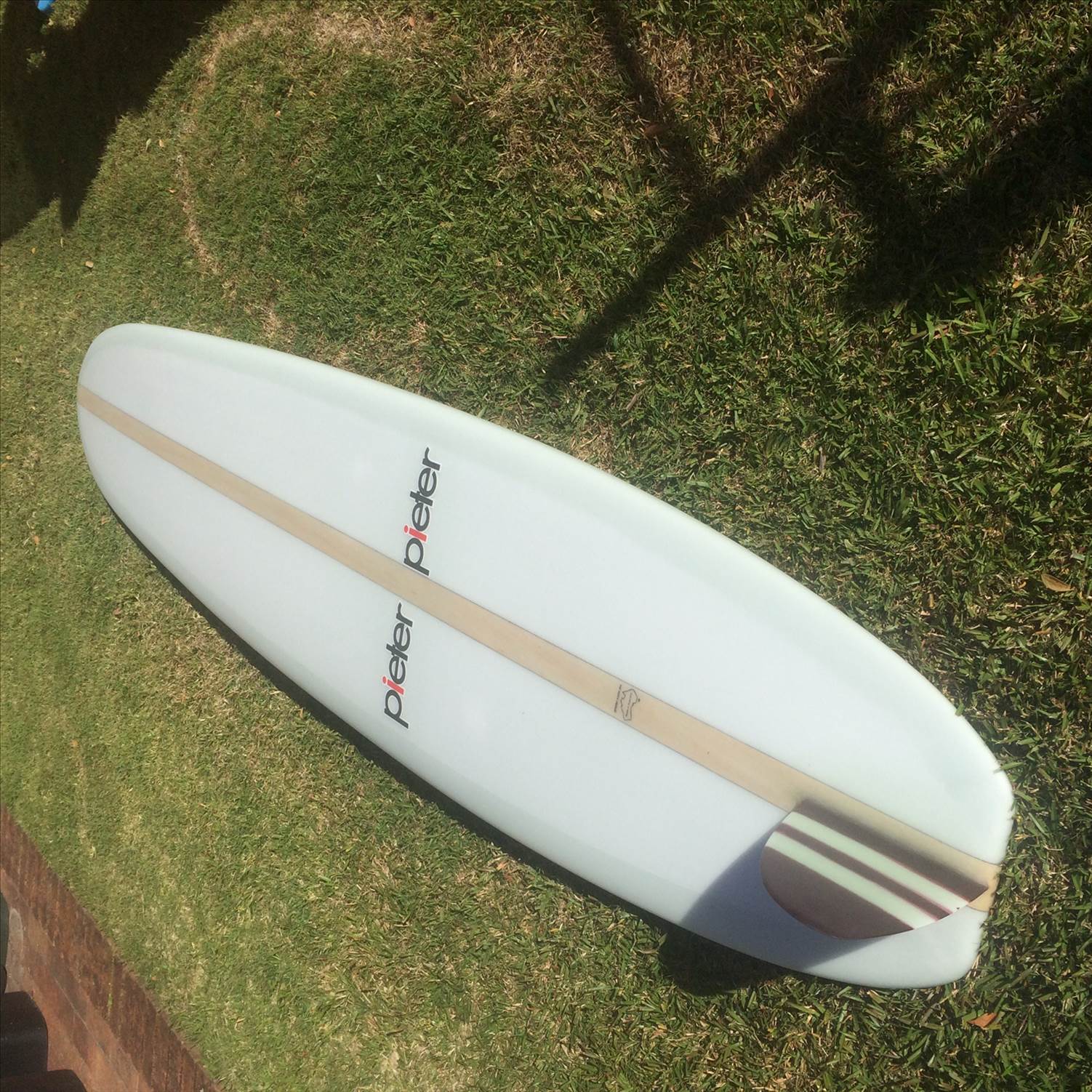 Pieter 50s Pig for sale