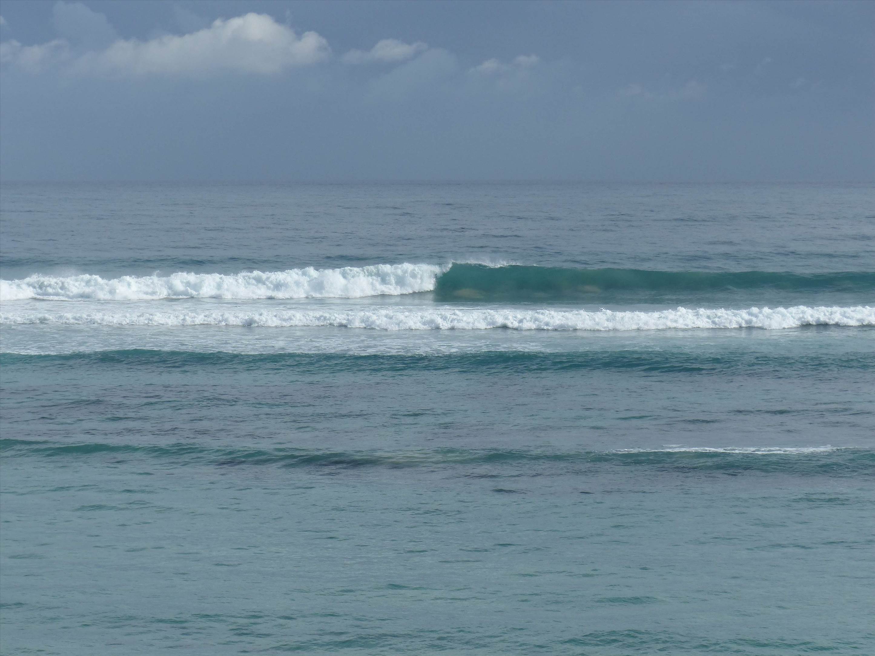 Wave