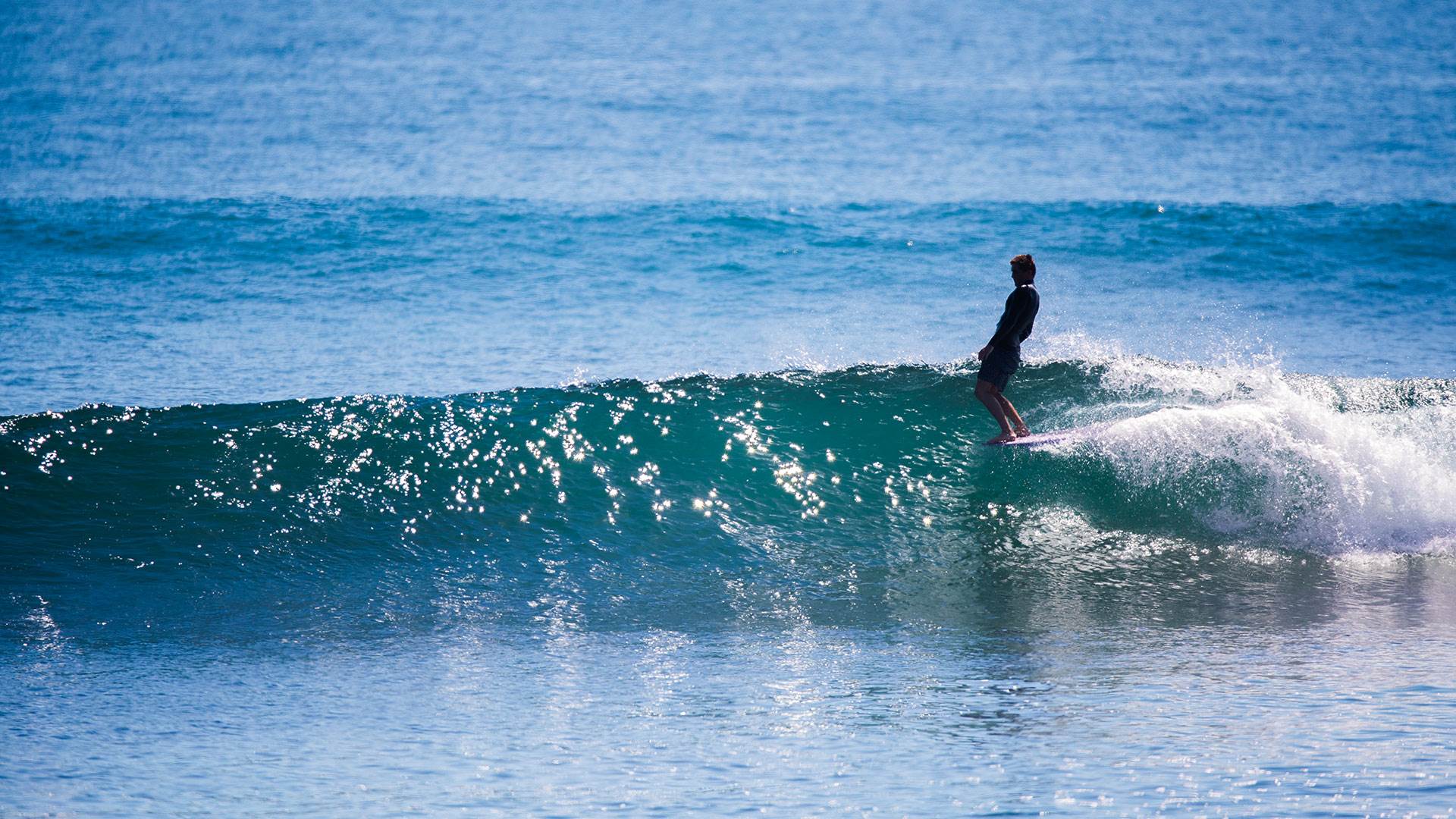 LetThemLog Josh Full TBD