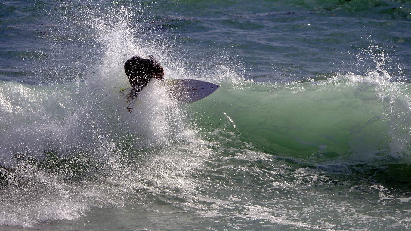 Whales and Surfers