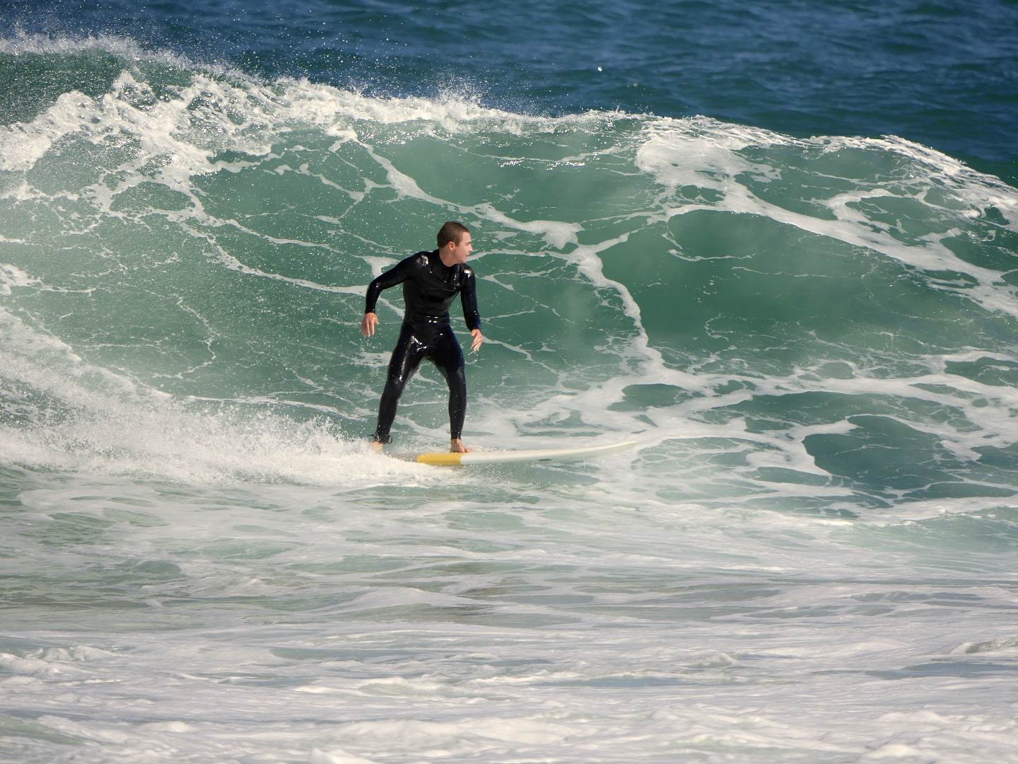 Trigg long boarders