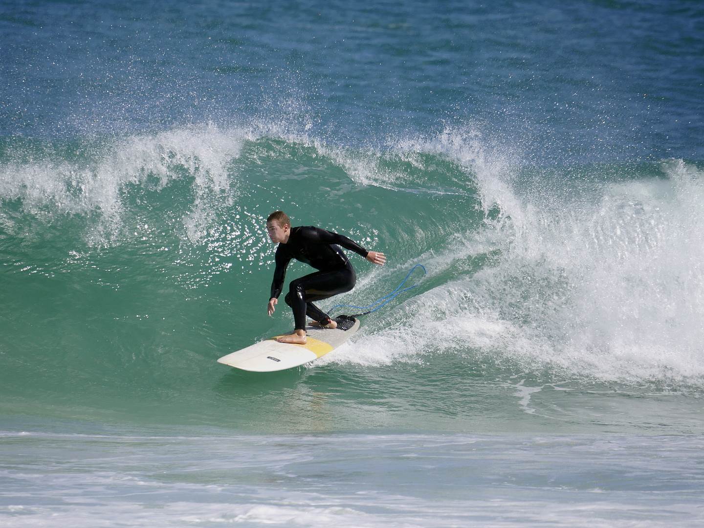 Trigg long boarders