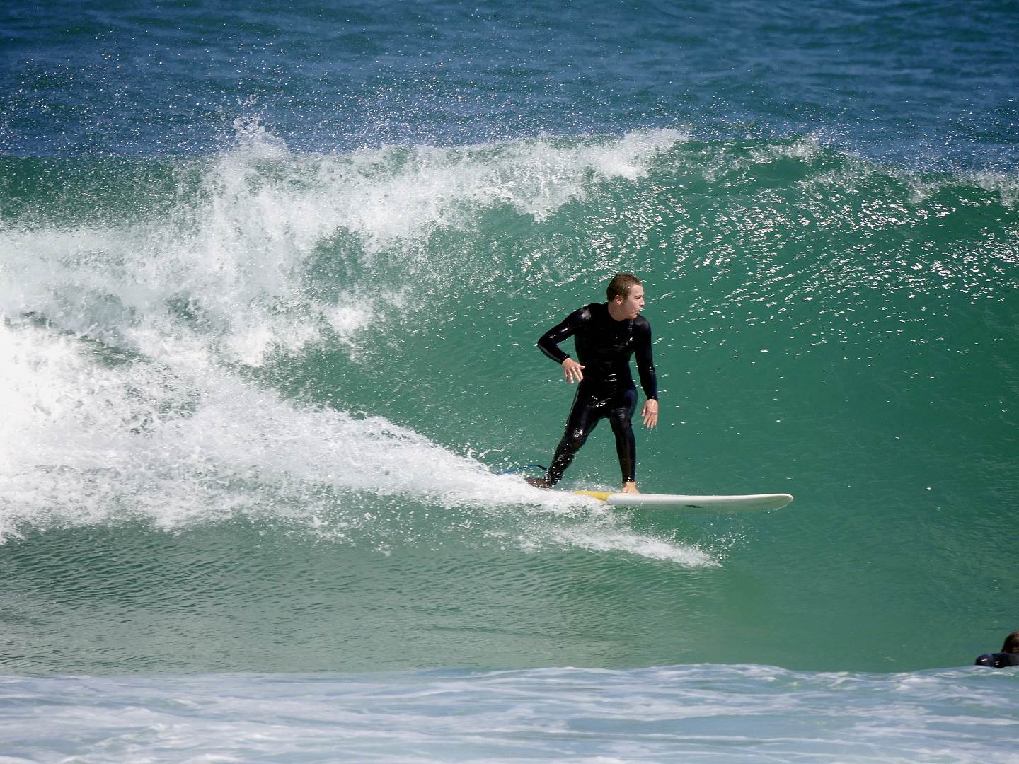 Trigg long boarders