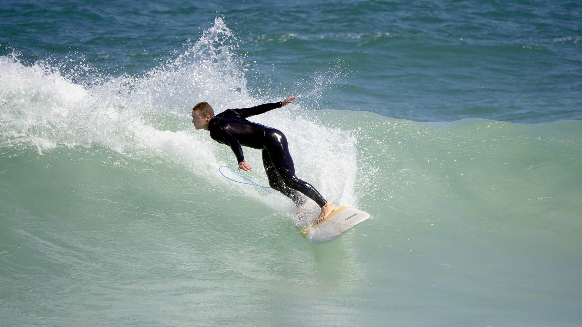 Trigg long boarders