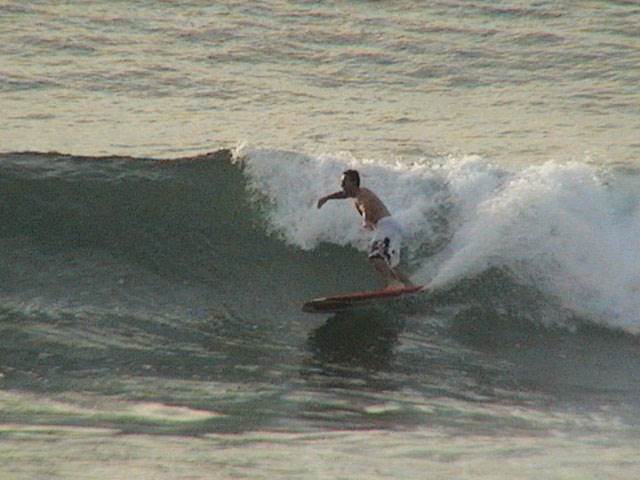 Fashar surfin dude