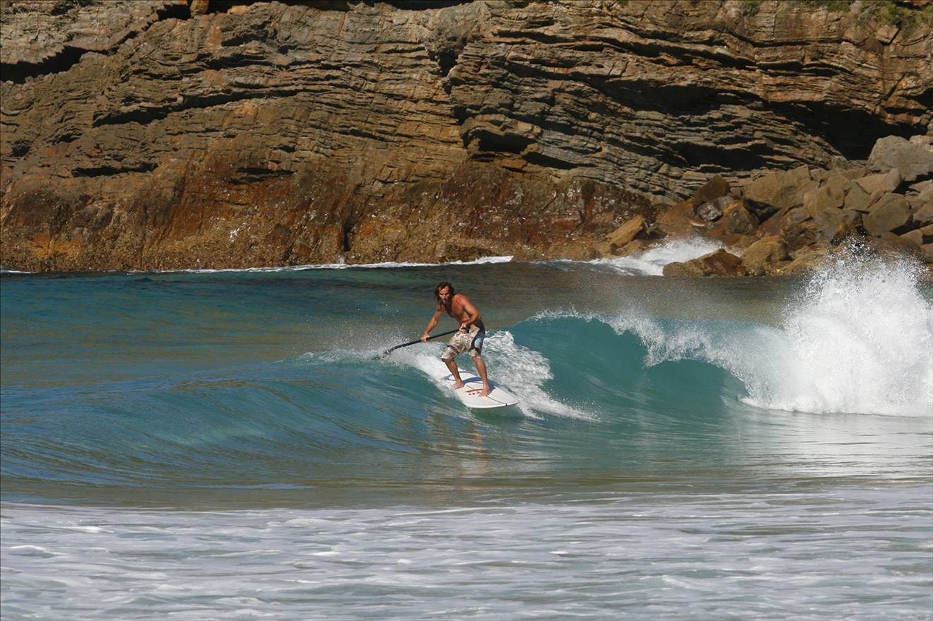 ANDY F.- P BOARD