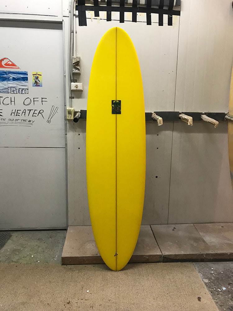 Wayne Lynch Evo