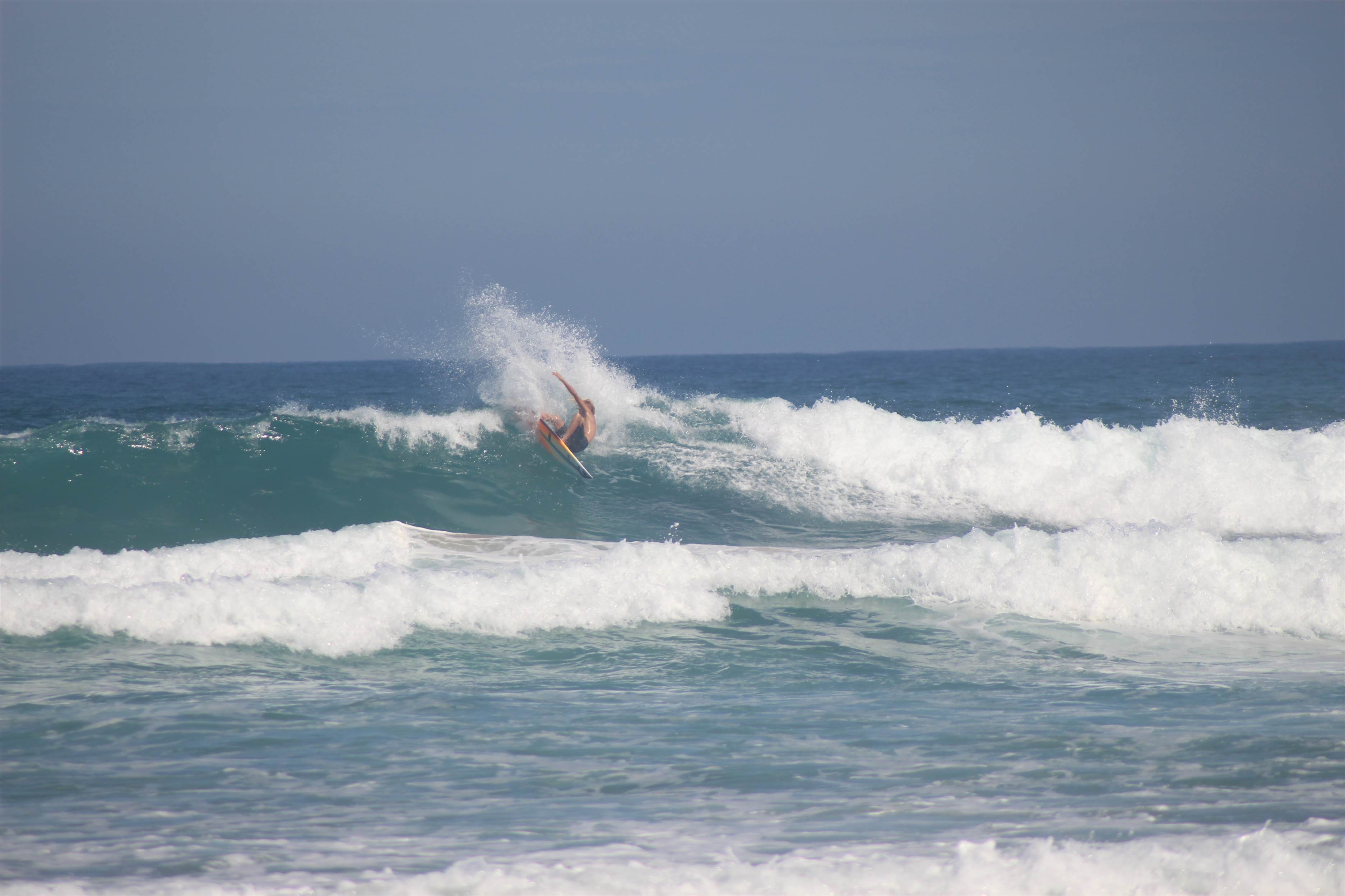 surf at my local