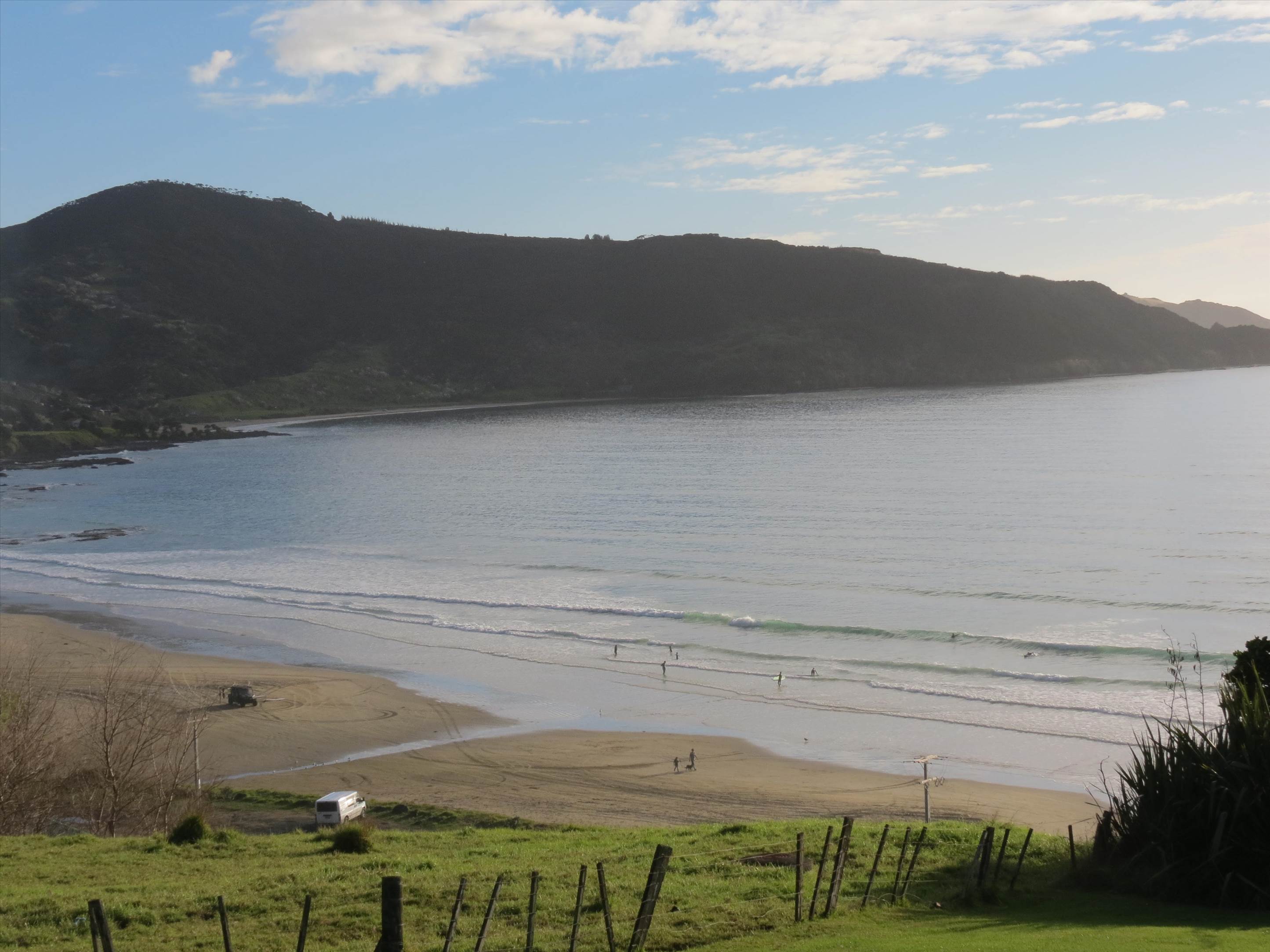 cc in nz