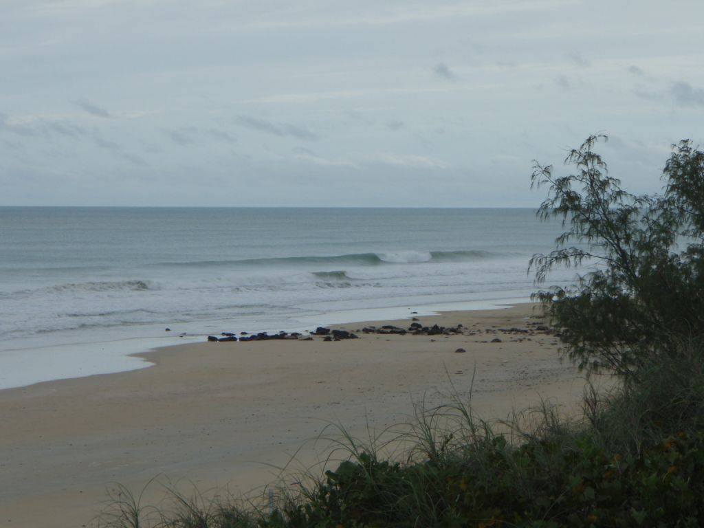 Sickies are sometimes gold when its cyclonic