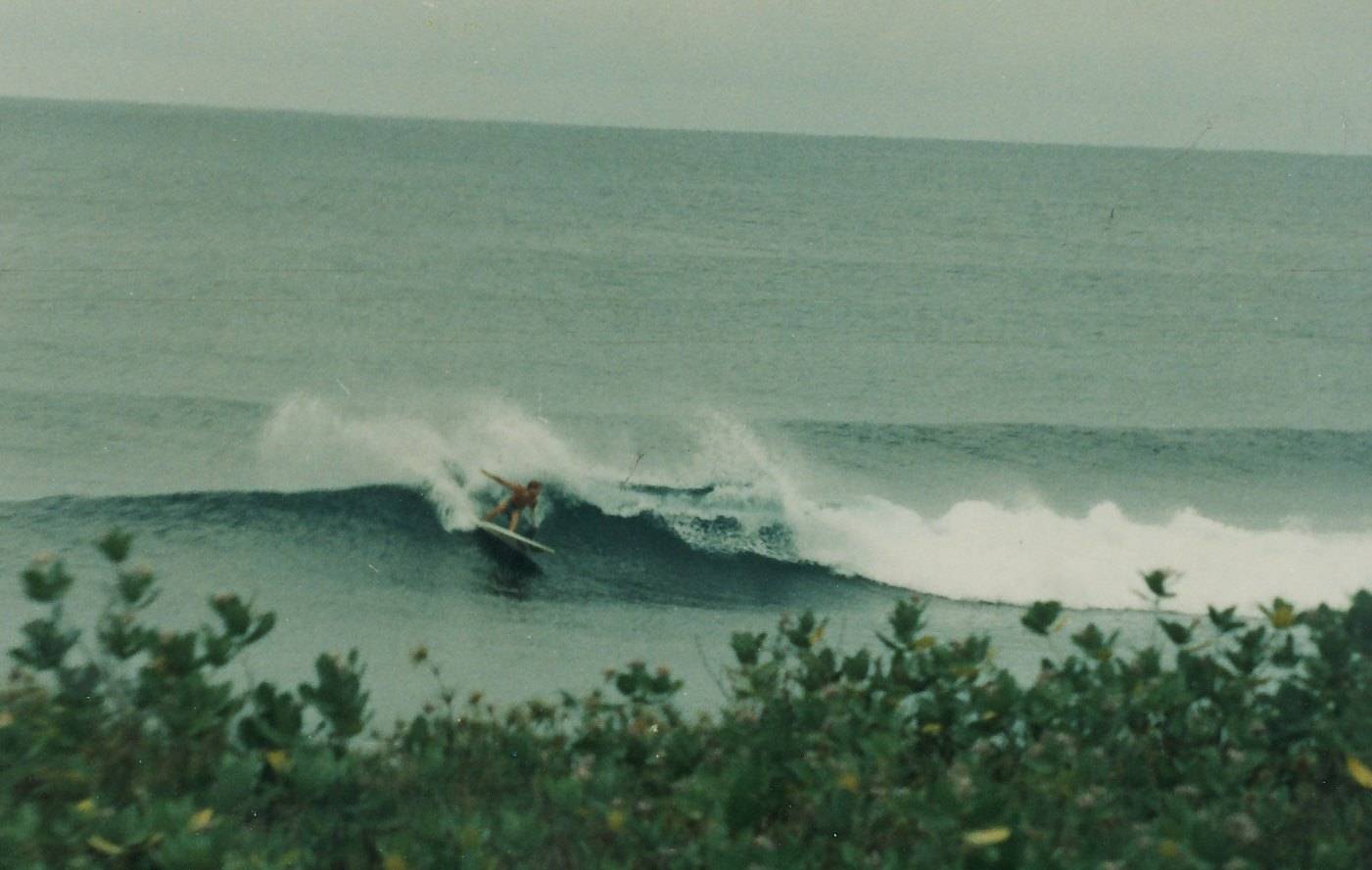 ronny baker indo holiday