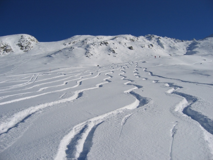 Fresh snow