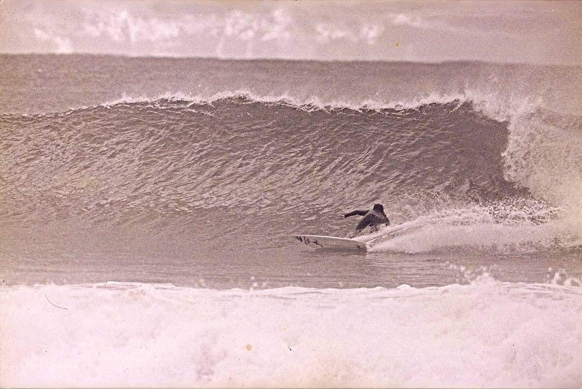 dogman nth coast nsw