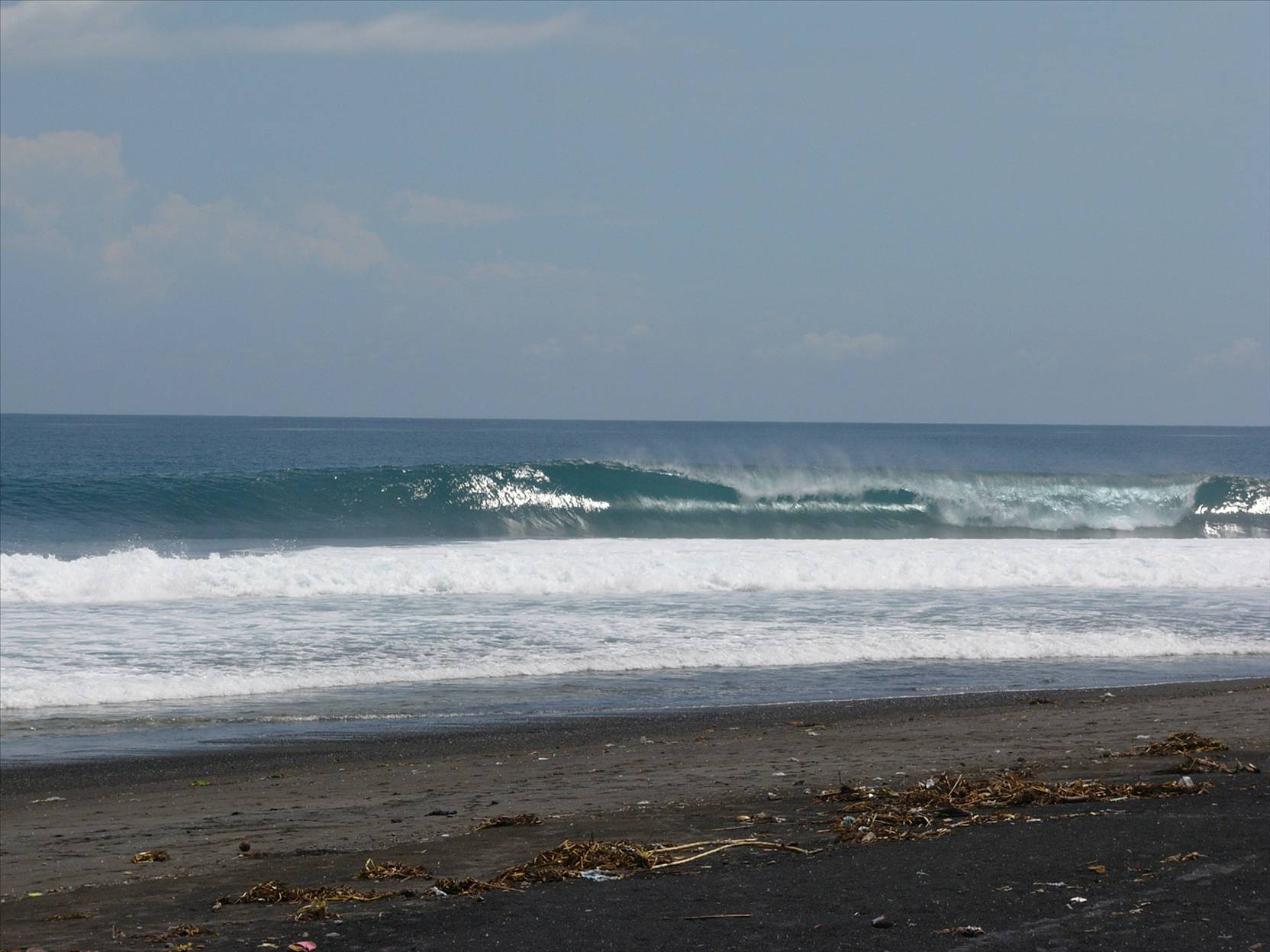 indo