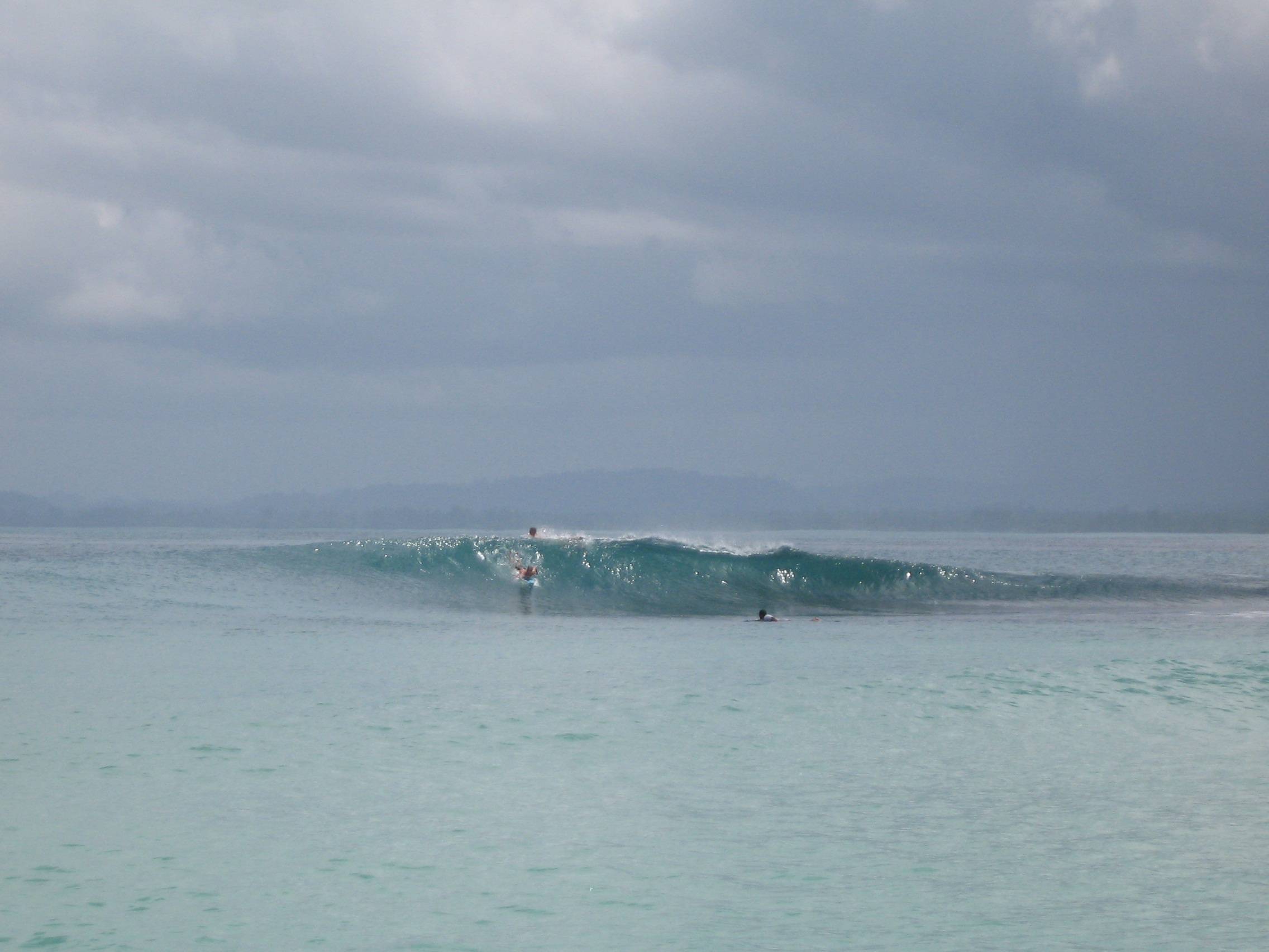 Mentawais