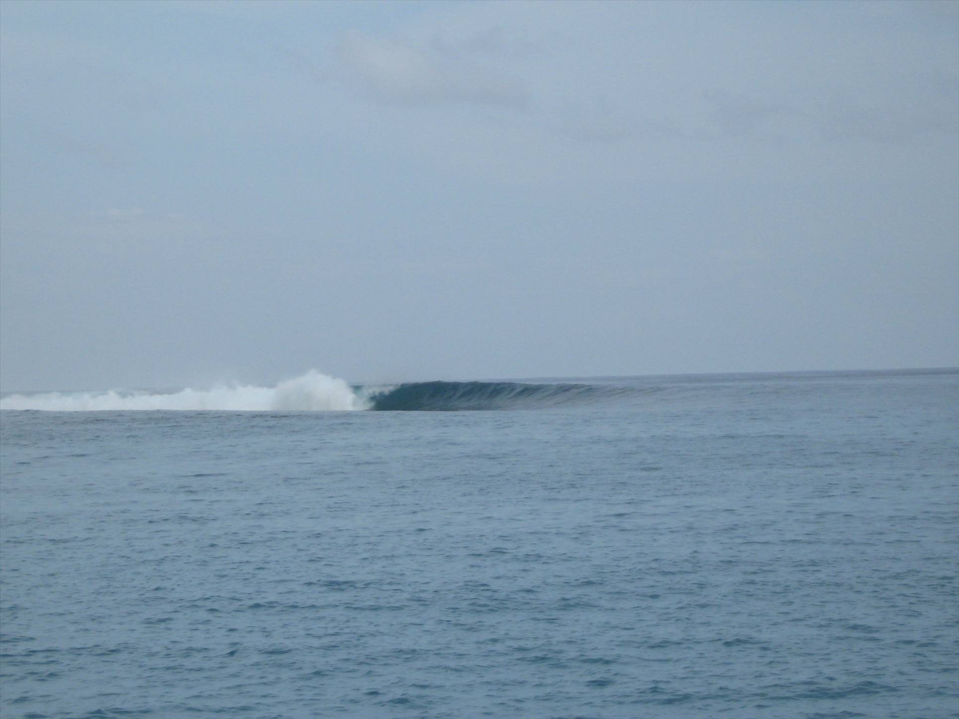 Mentawais