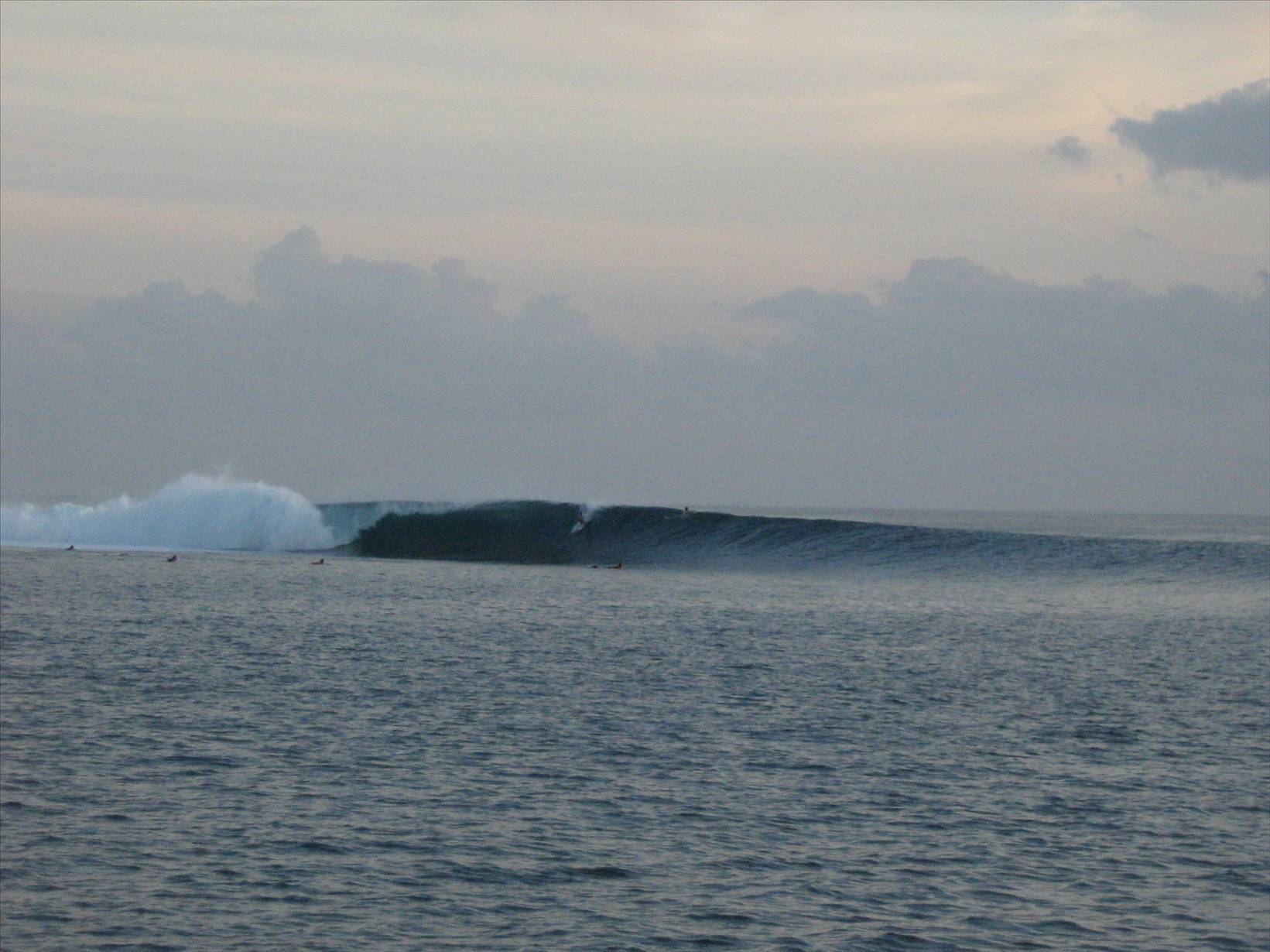Mentawais