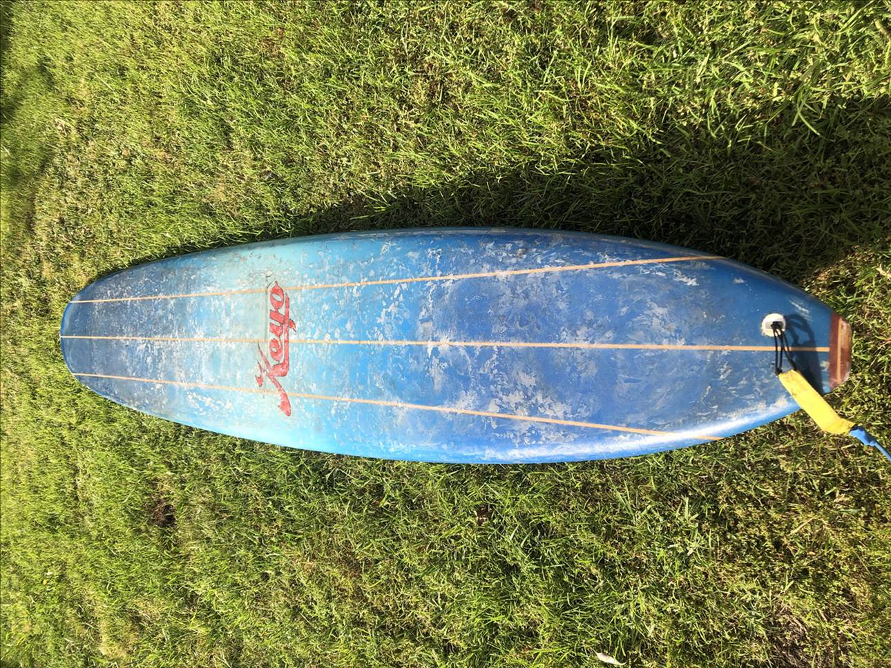 Photos