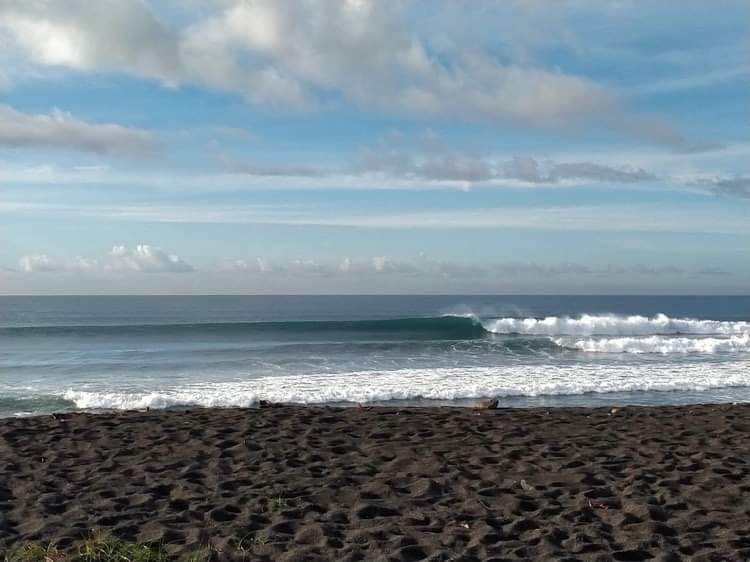Up the Coast Bali