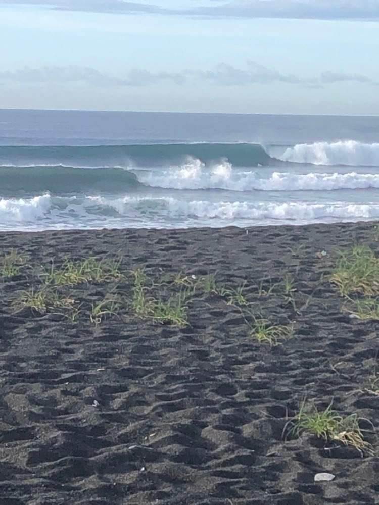 Up the Coast Bali