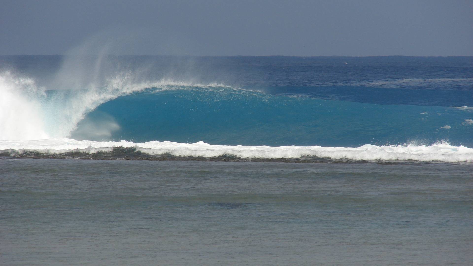 Cocos