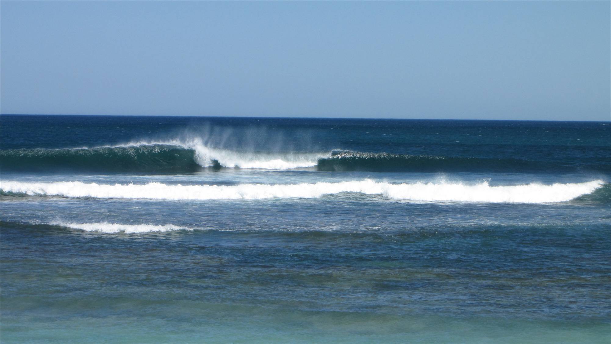 Wedge March 09 237