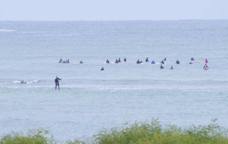 Crowded but no surf