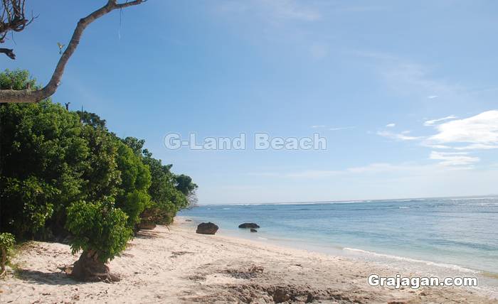 G-Land Bobbys Surf Camp