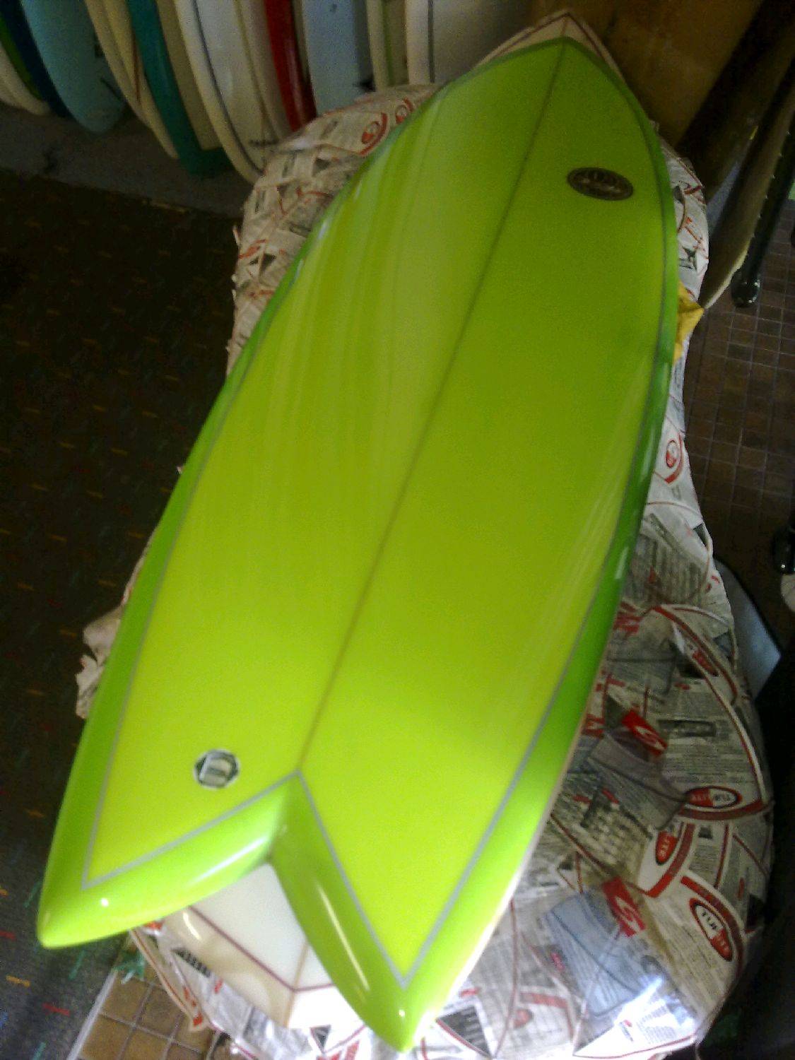 Green tint fish