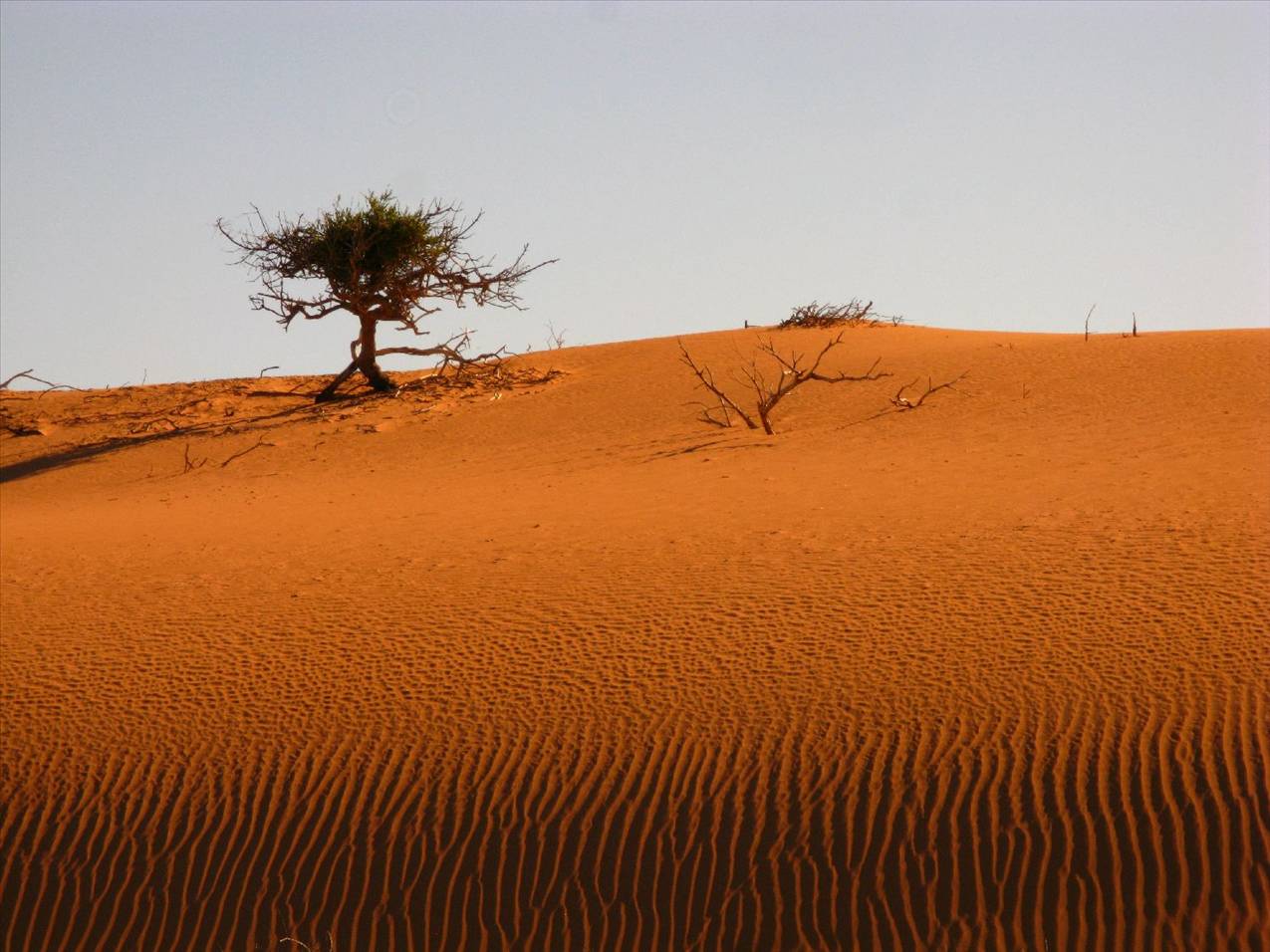 Waroorra dunes