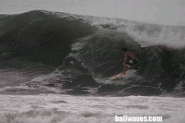 bali22
