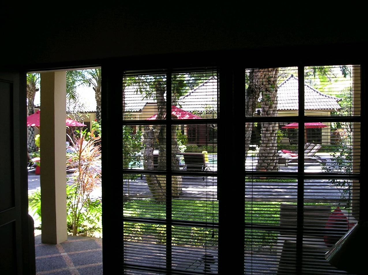 BALI NOV 09 069
