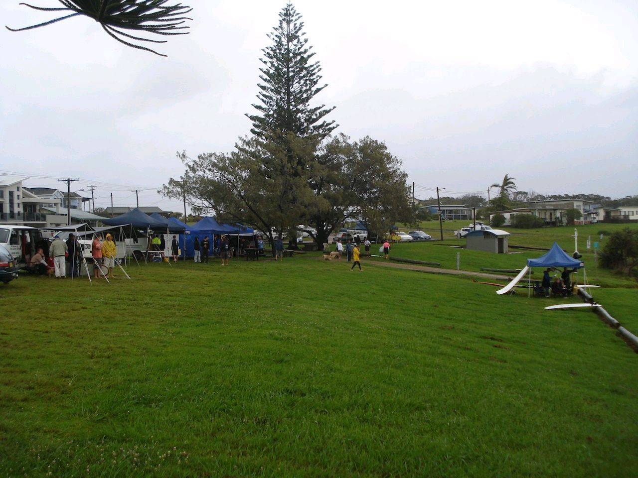 arra 2010 comp