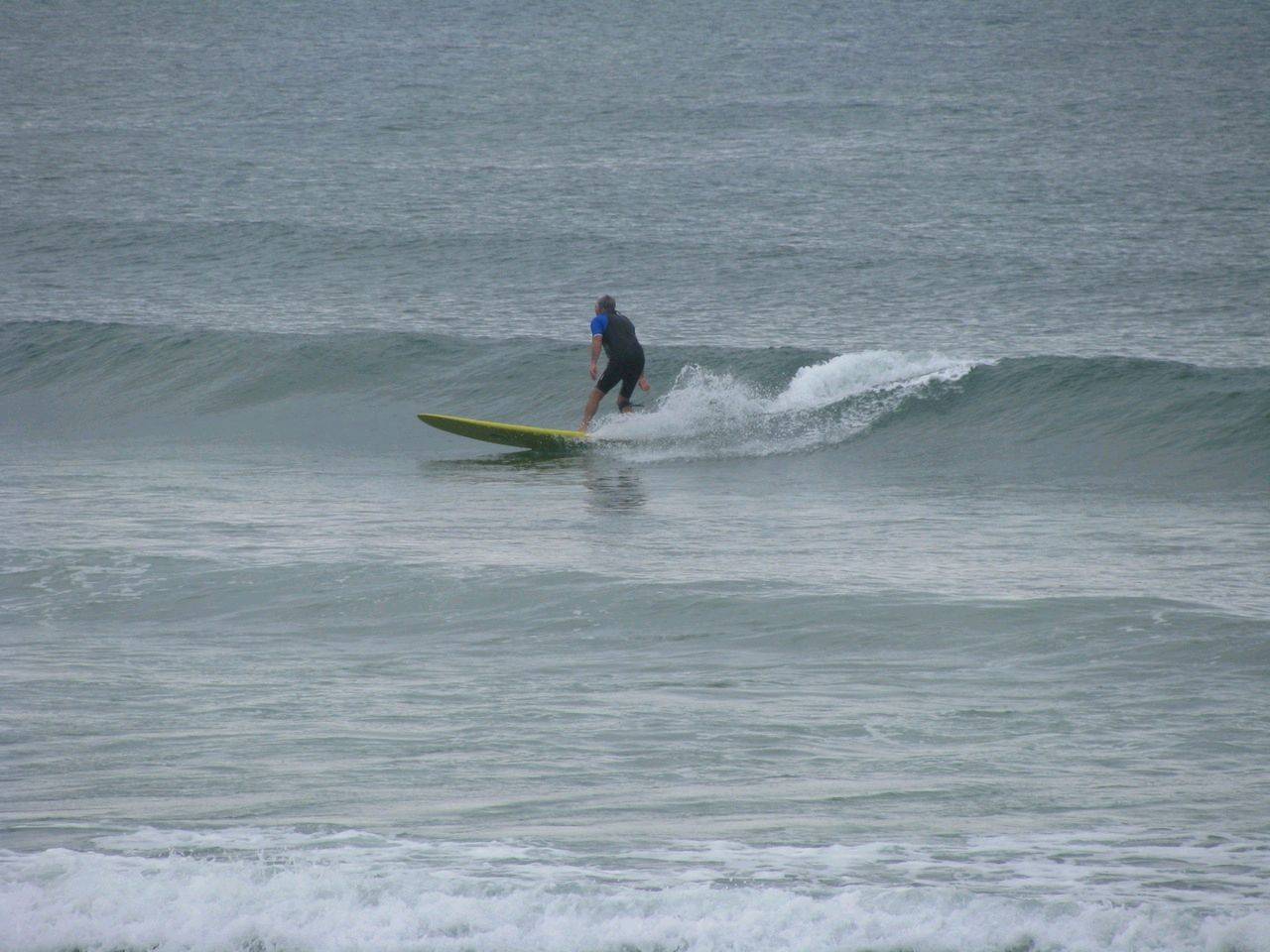 Nov 2010
