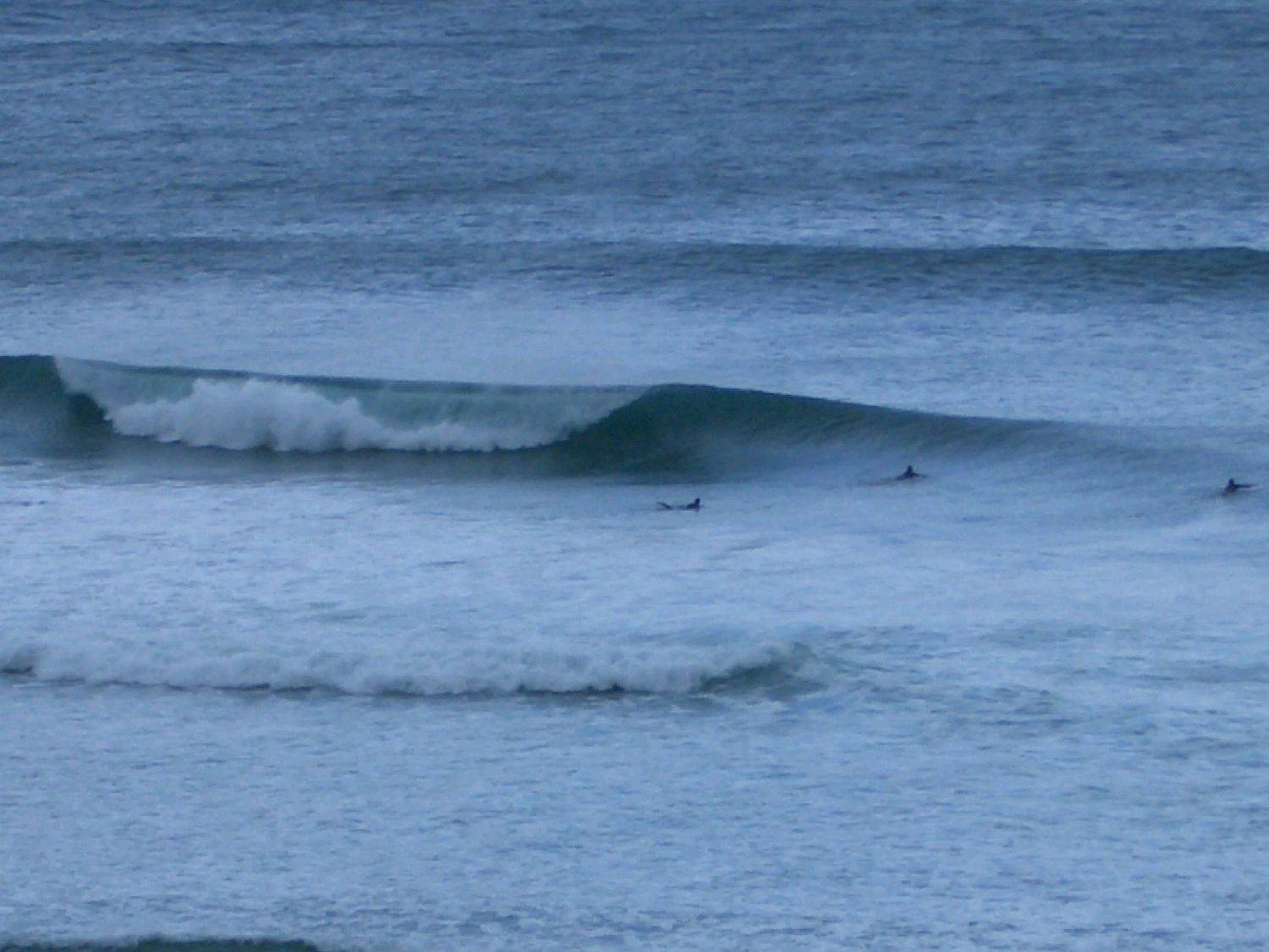 farSouthDec05 (240)