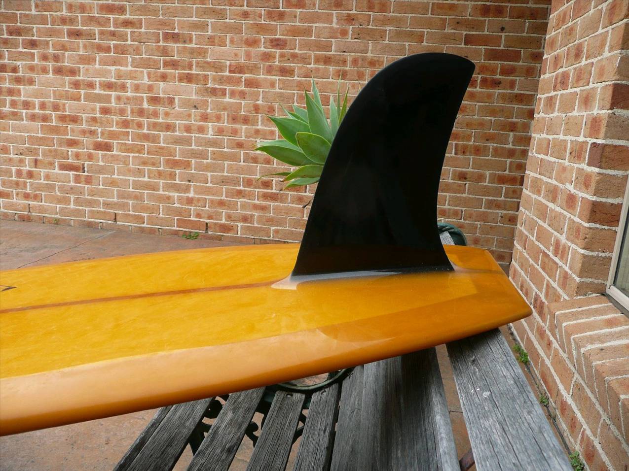 surfing