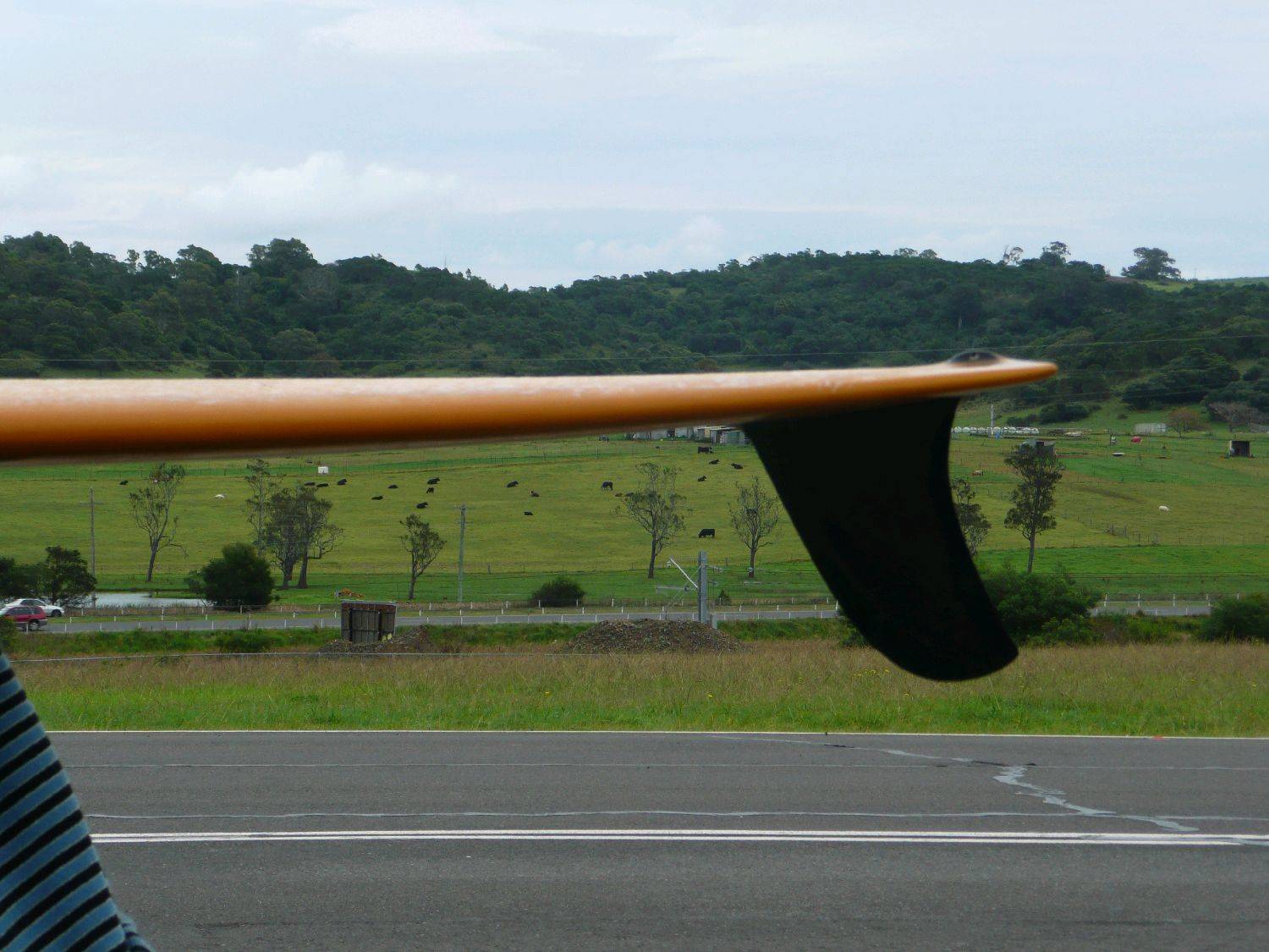 surfing