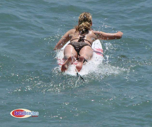 Malibu surfer girl logo