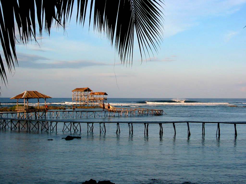 photos 026