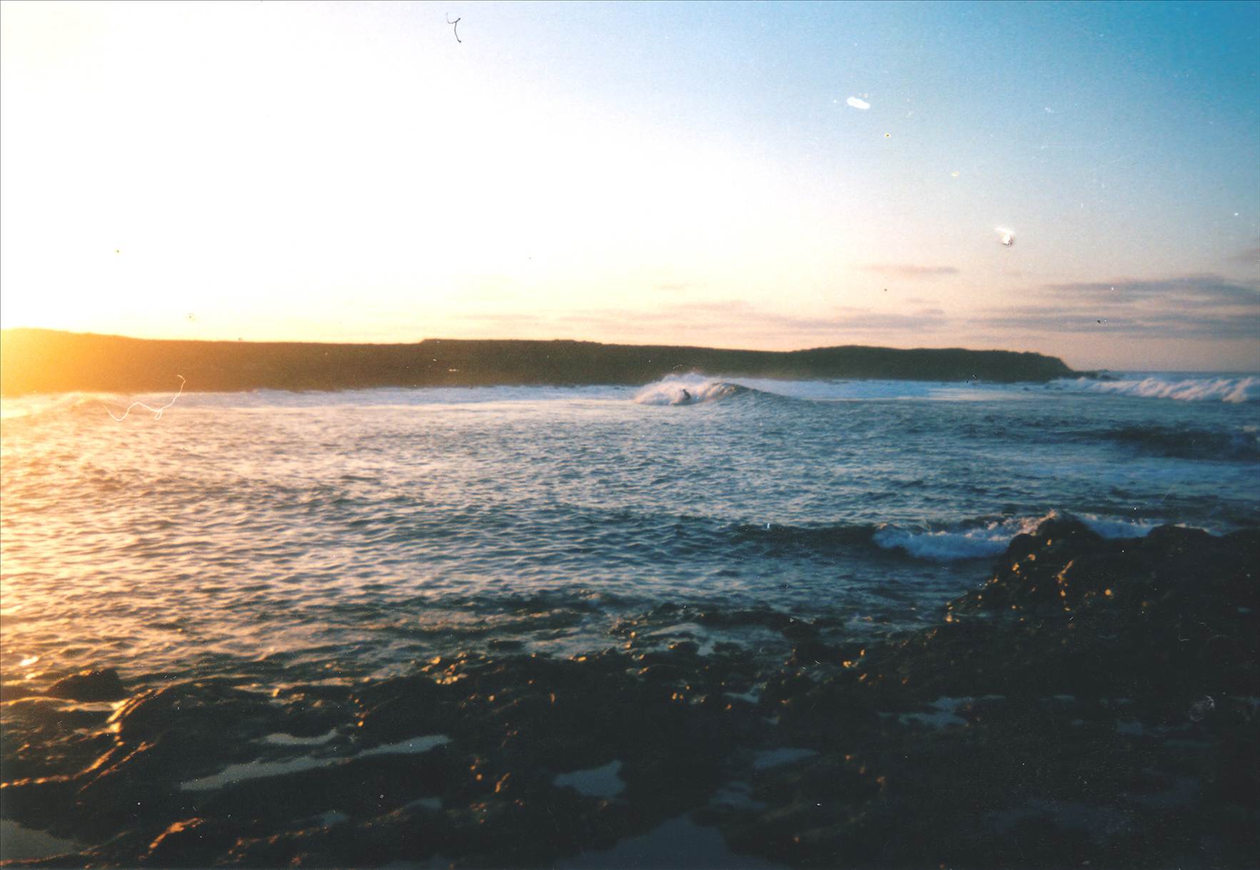 canaries surf