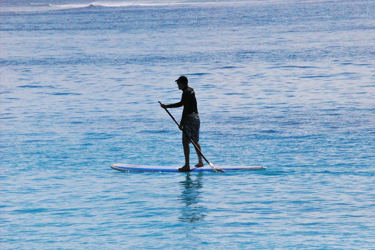 Doggie SUP