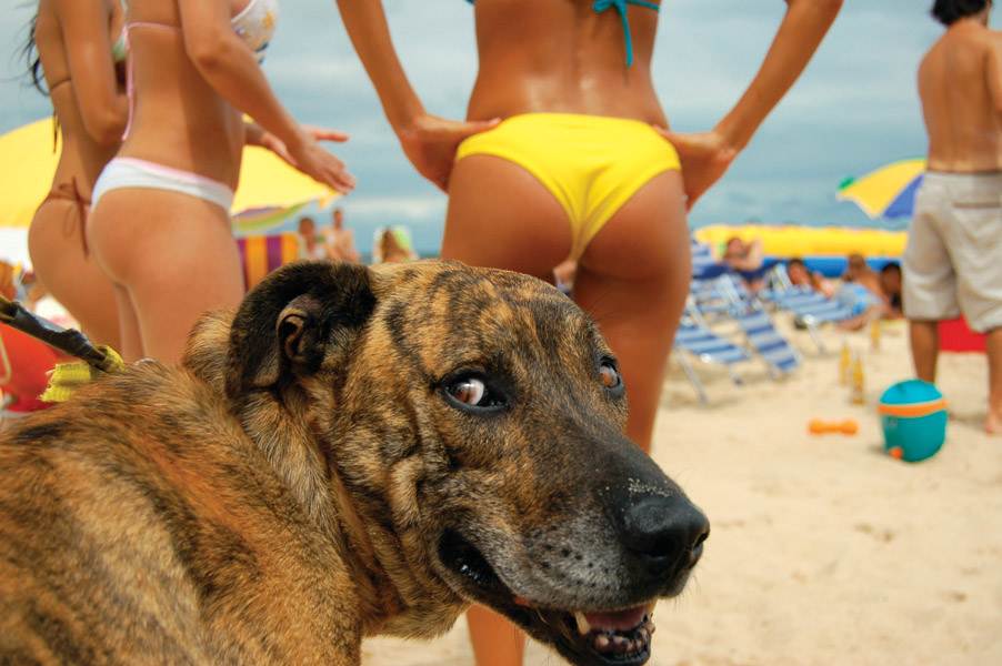 mmmmpupsup