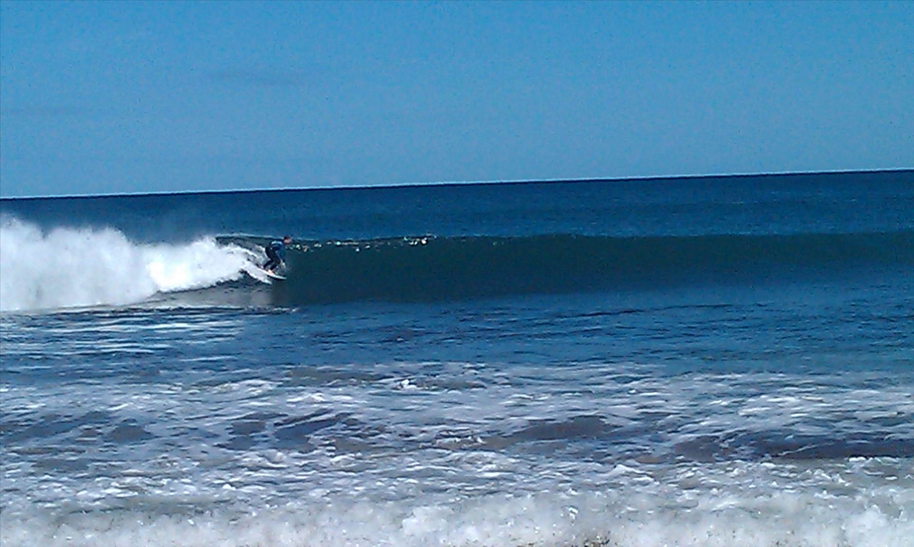 IMAG0206