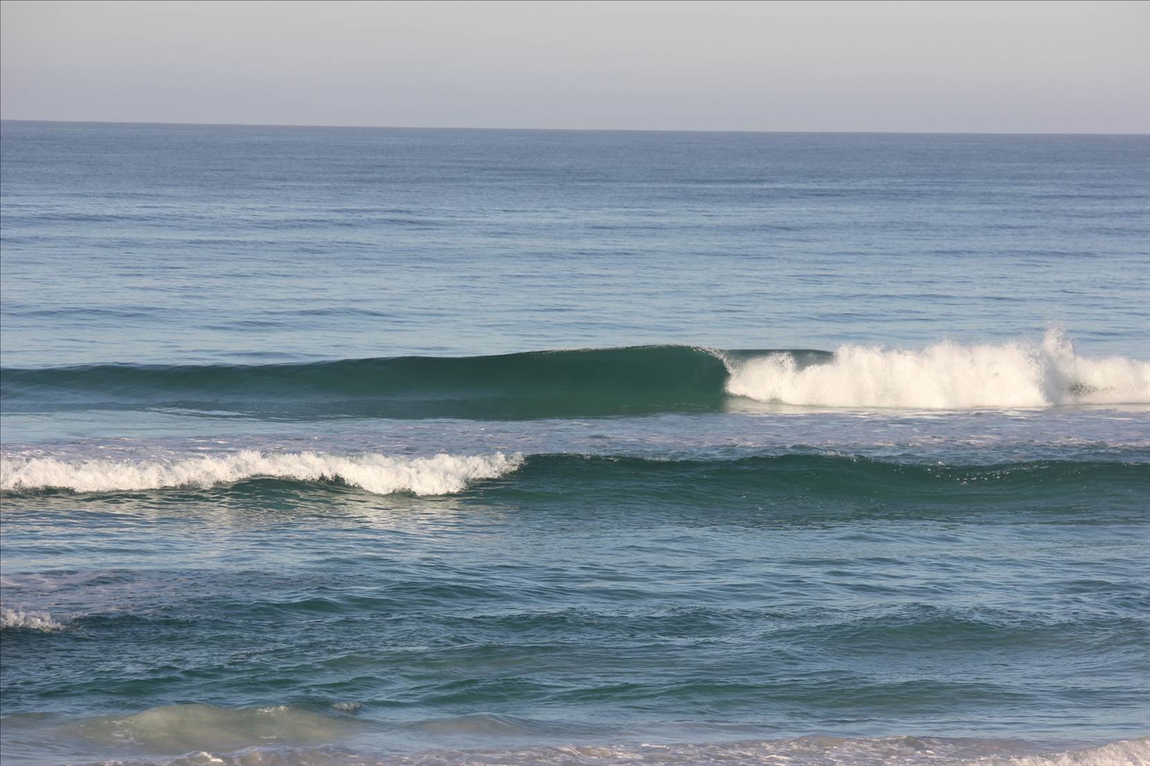Wedge20.01.12 011