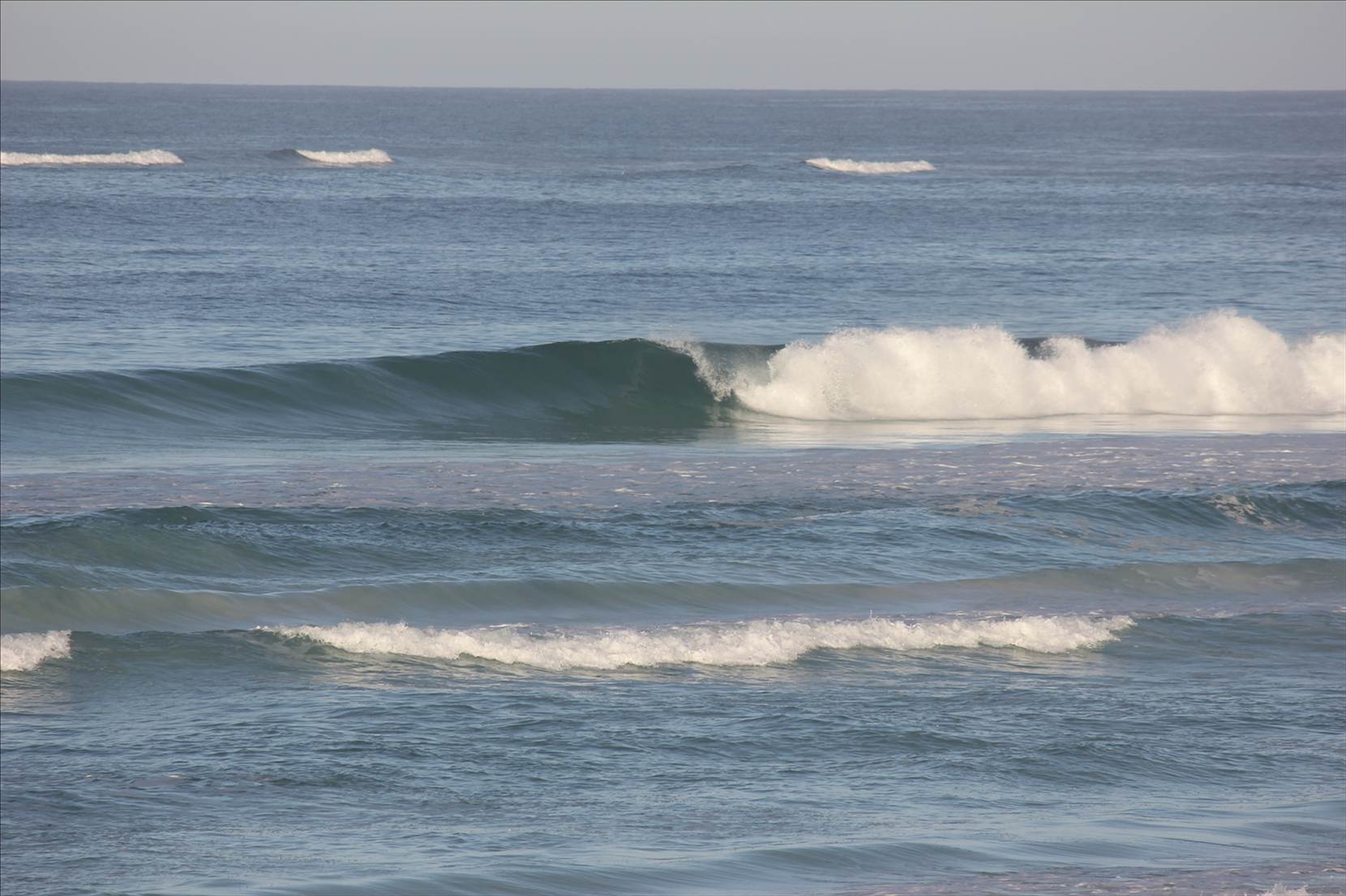Wedge20.01.12 008